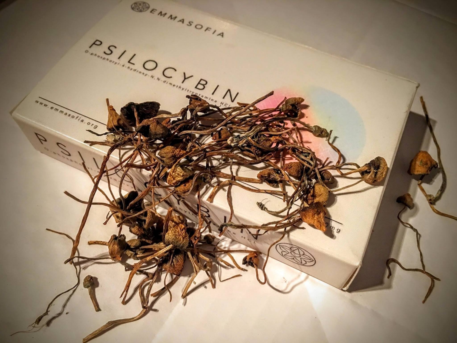 EmmaSofia is working towards making the same basic principles of consumer protection, such as quality control, age limits and correct branding, applicable to psychedelic mushrooms.