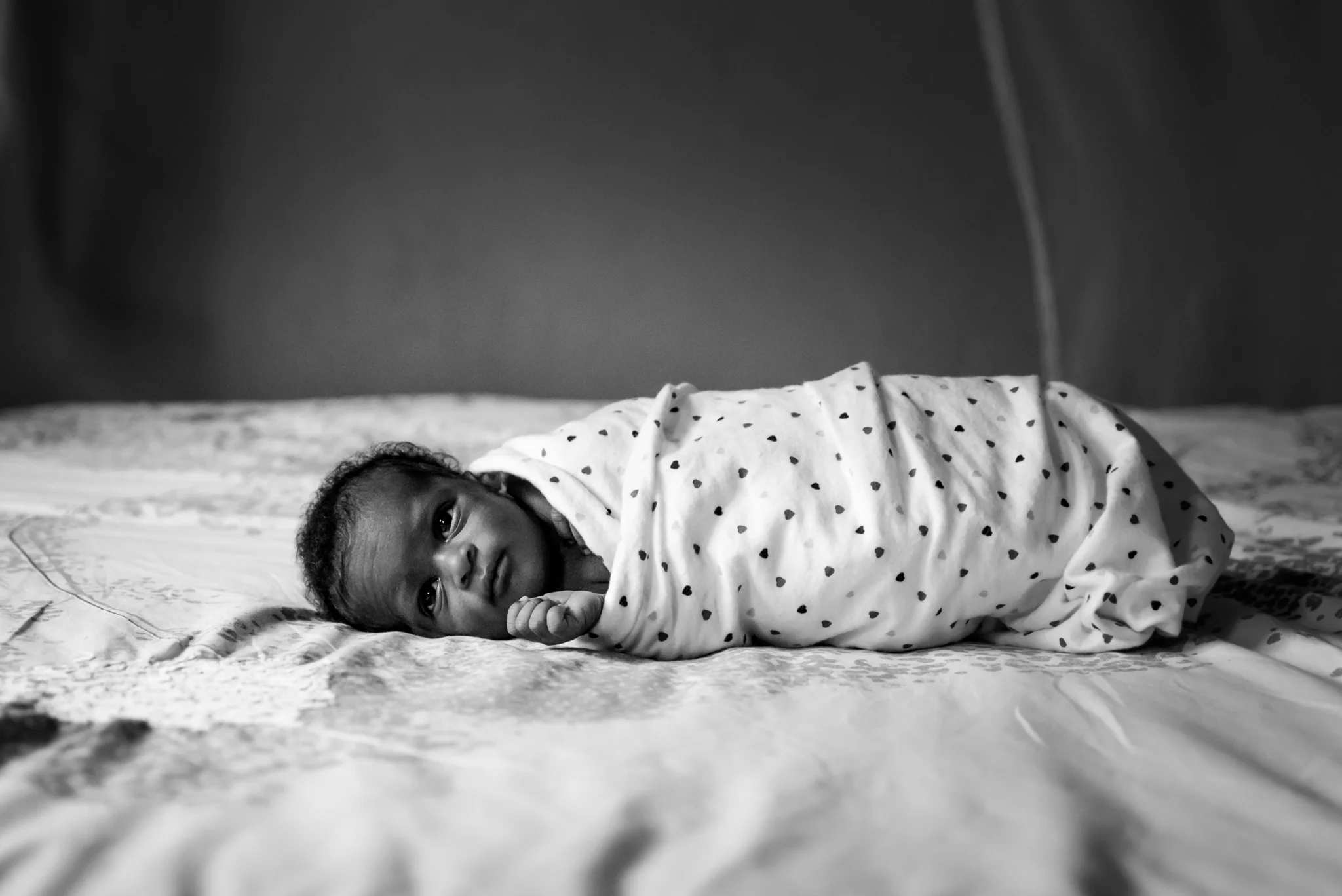 TNewborn-7009.jpg