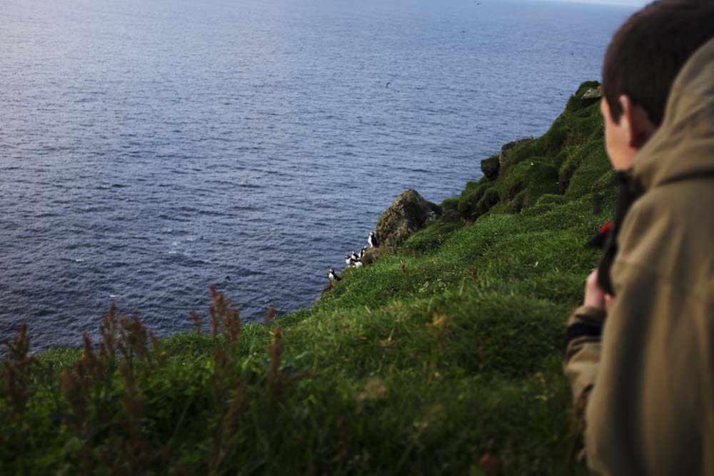 Mark watching Puffins sitting on a cliff. 