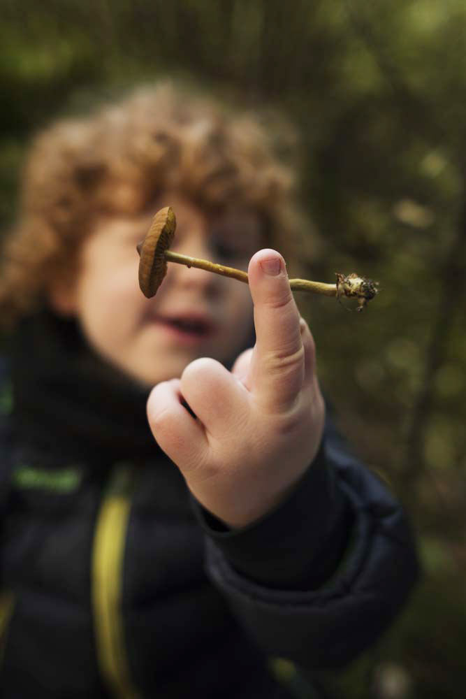 Photo: Ane Aspen. August found a funny mushroom 