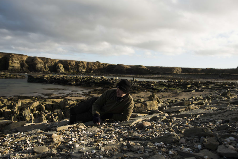 Beach Combing