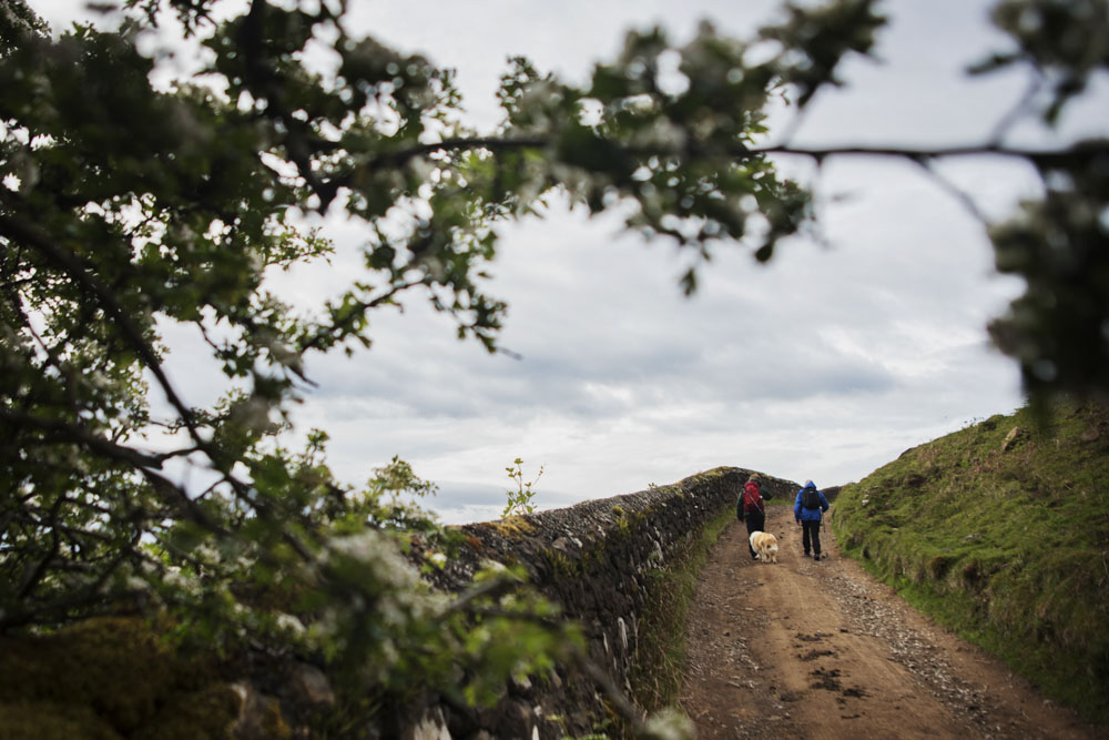 Guided walk