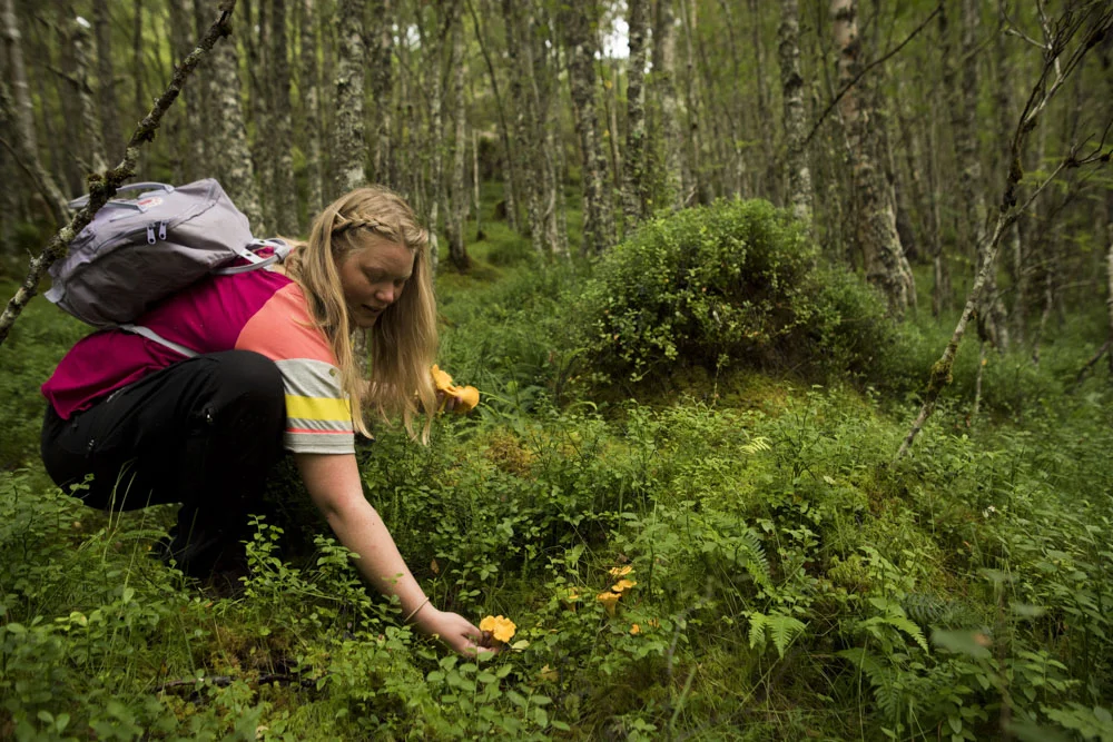 Glen Affric revealed some of its most precious secrets