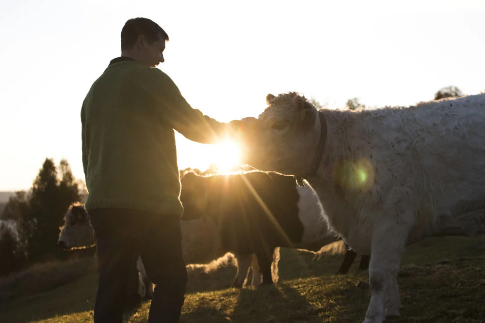 Family friendly adventure