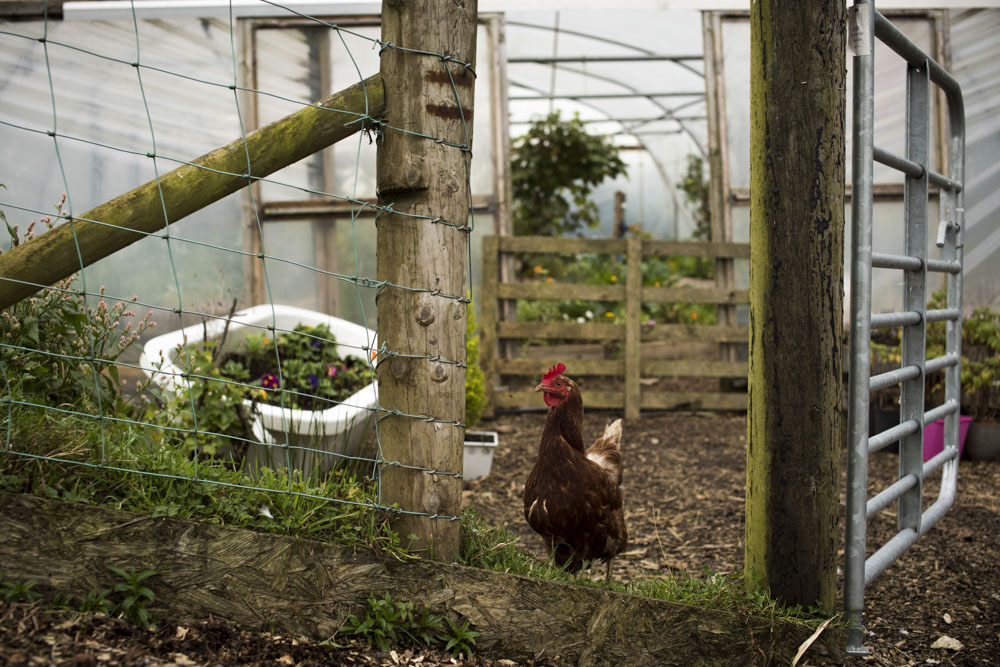 Lets-go-slow-DSC_5544Northern-ireland-Northern-ireland-.JPG