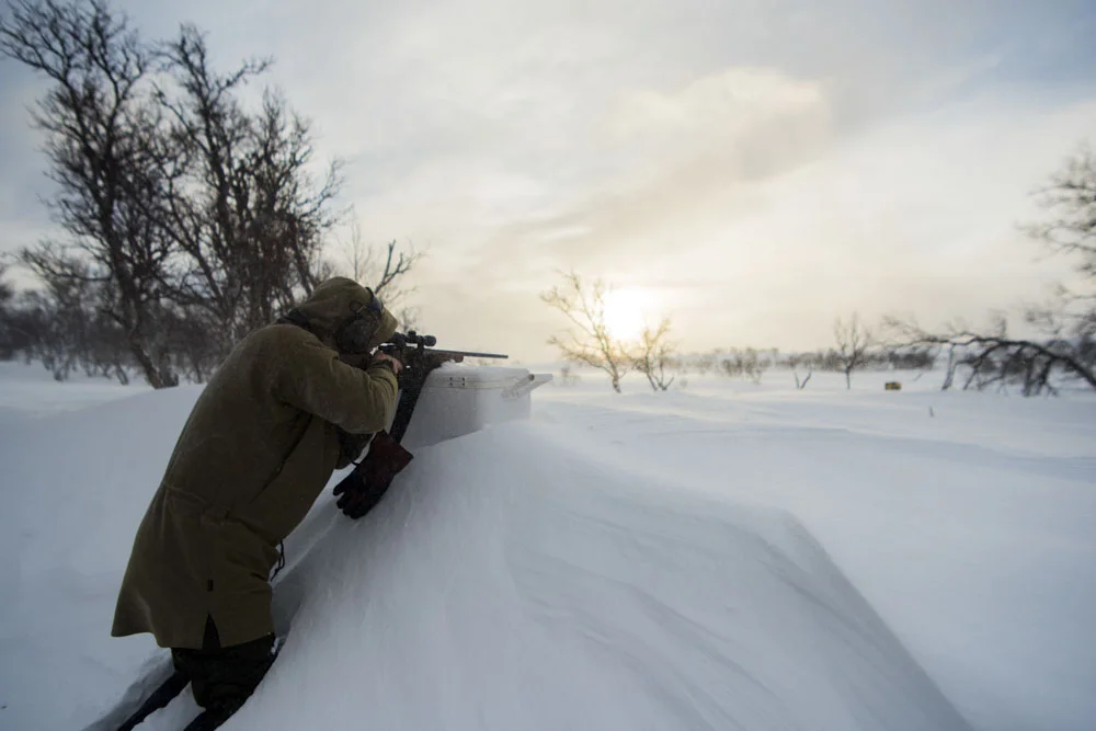 Re-wild yourself in Sweden