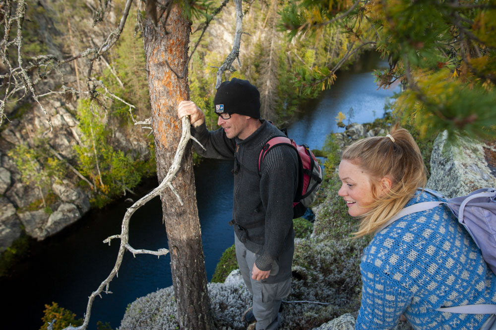A wild surprise in Taivalkoski