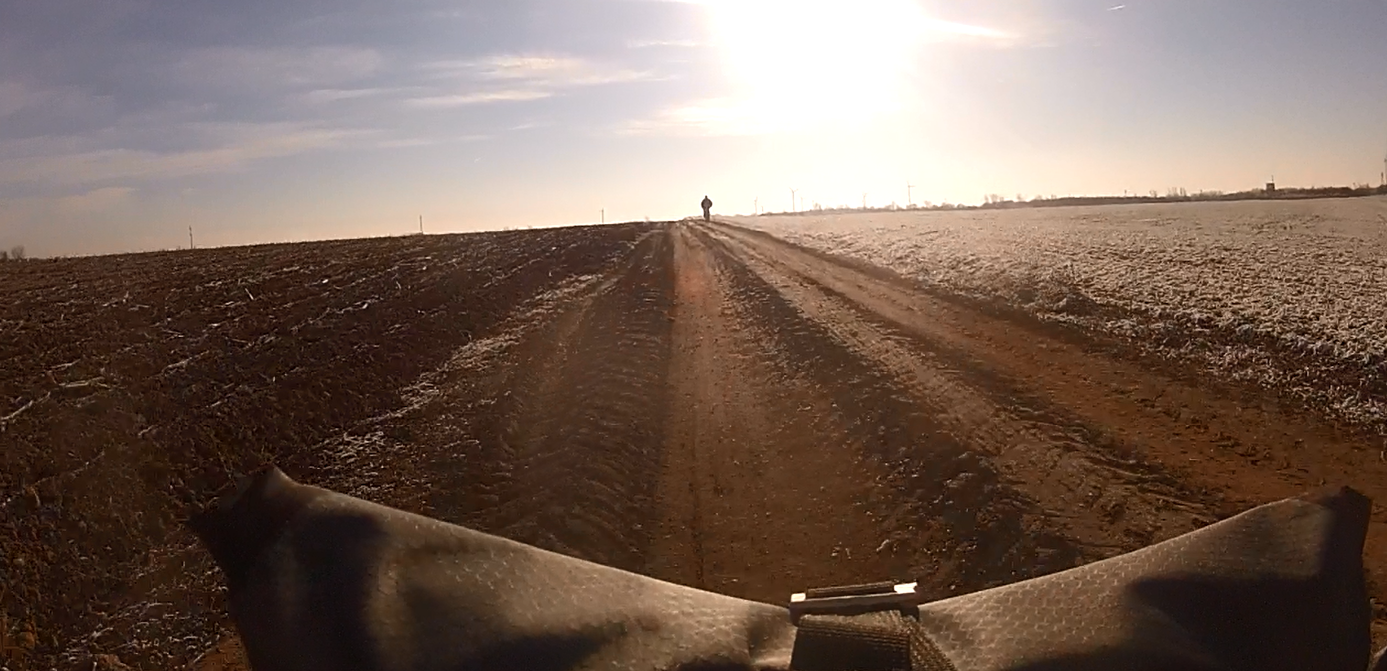 Crossing an old man on a bicycle in the wide planes of the Hungarian Pustza