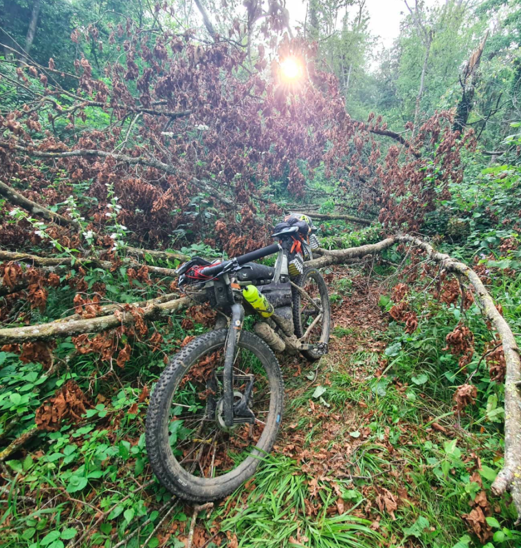 Screen Shot 2021-08-10 at 6.03.46 pm.png