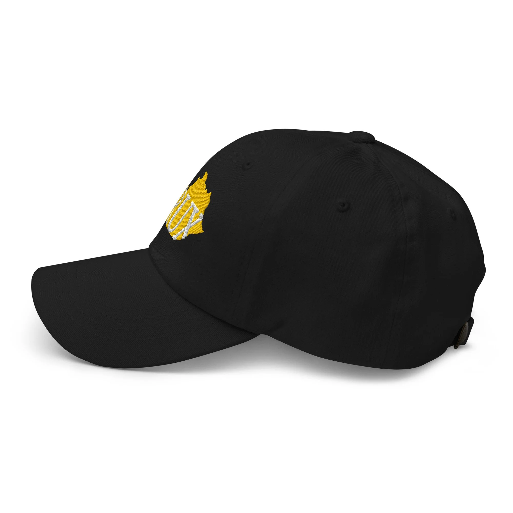 classic-dad-hat-black-left-side-6983b2286761b.jpg