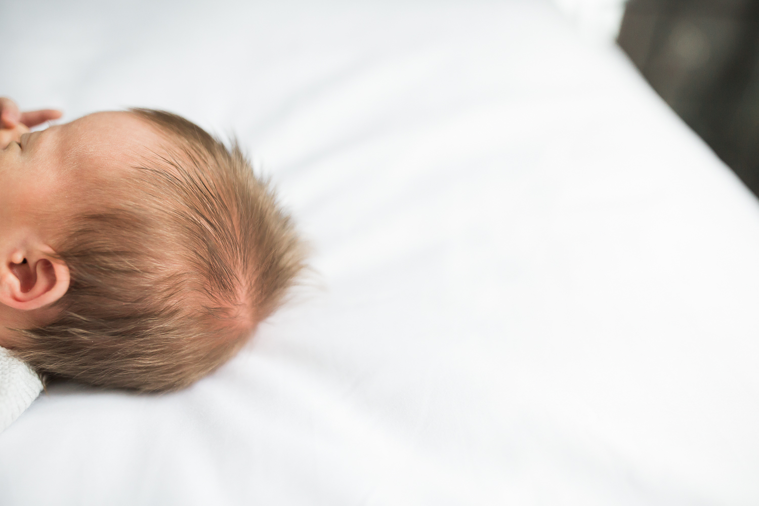 Toronto Newborn Photo