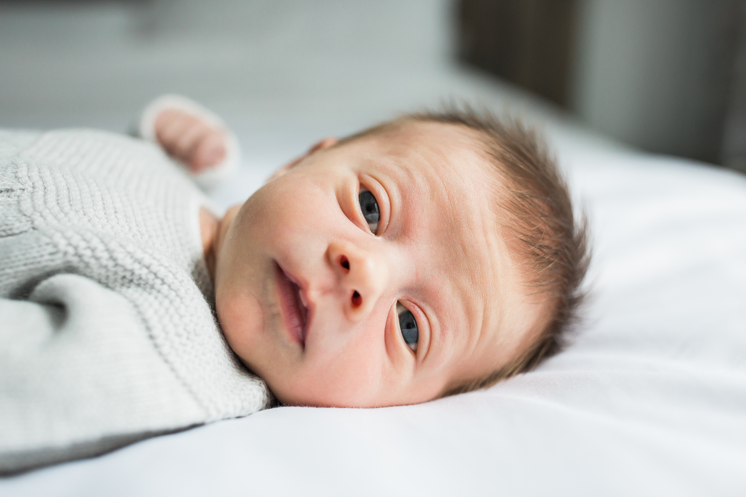 Toronto Newborn Photo