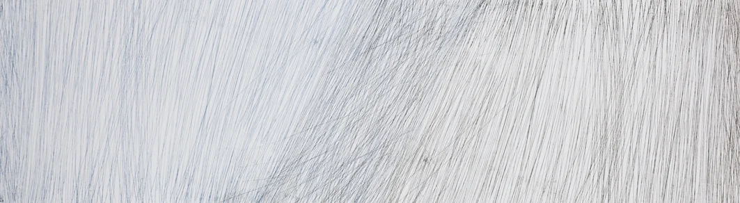 Sward 5 | 97cm x 27cmEtching