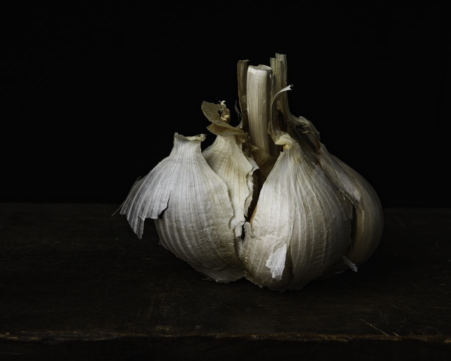 Garlic II 2016-.jpg