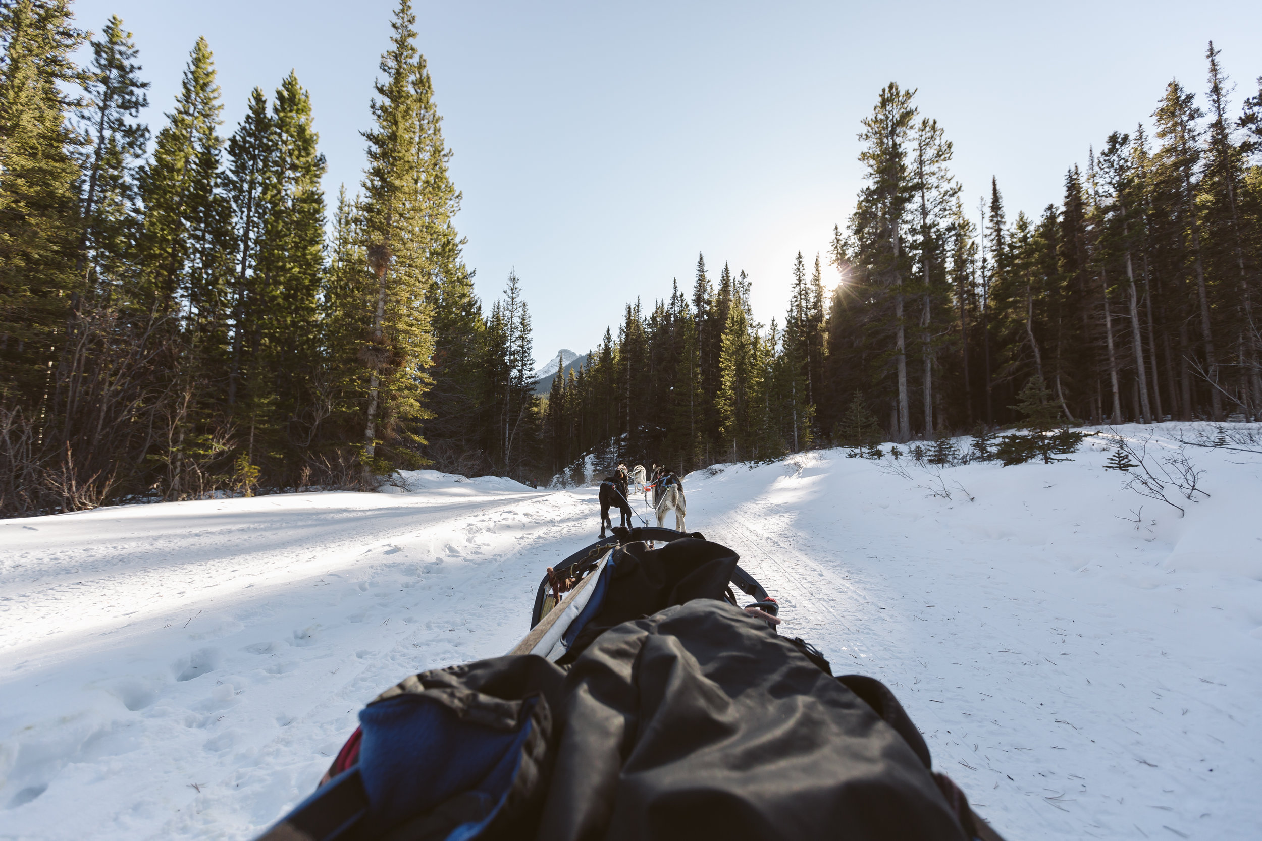 Banff Lake Louise x Howling Dog Tours