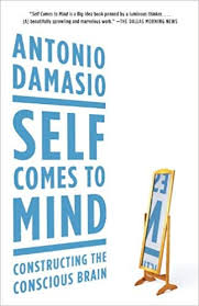 Self Comes to Mind- Constructing the Conscious Brain.jpeg