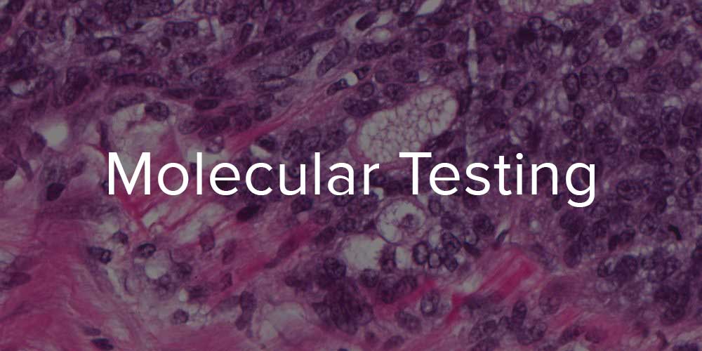 Molecular Testing