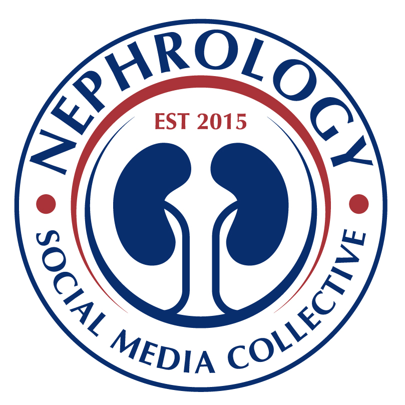 Applications Open for the 5th Nephrology Social Media Collective (NSMC) Internship Class 