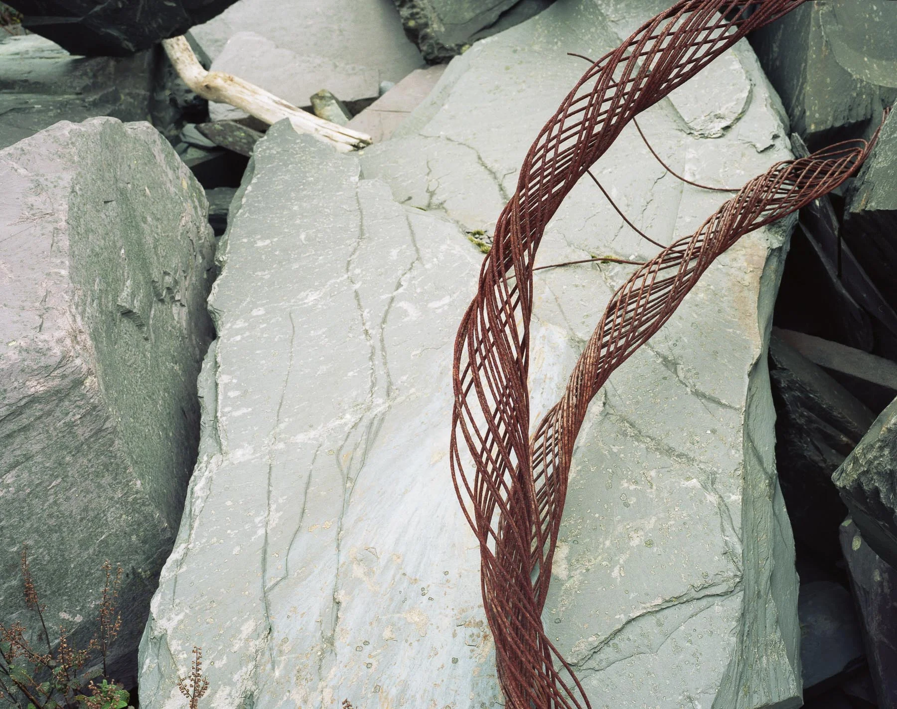 M7ii097.jpg