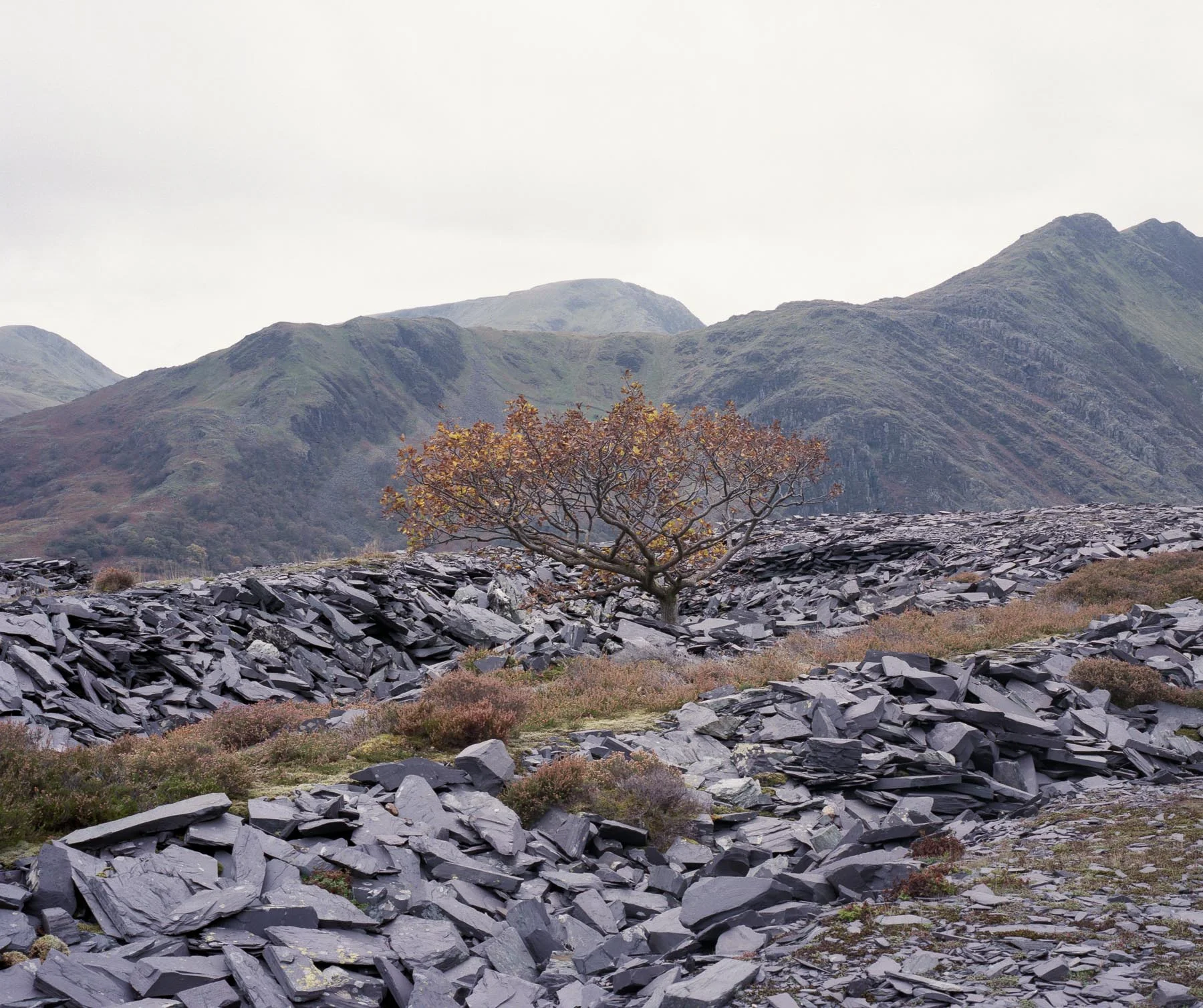 M7ii098.jpg
