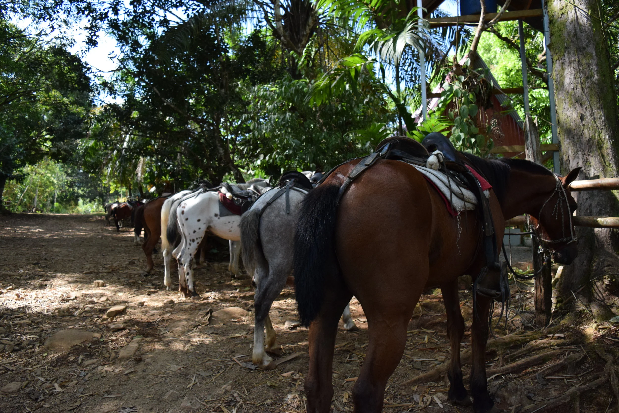  We call this a Costa Rican parking lot.... lol 