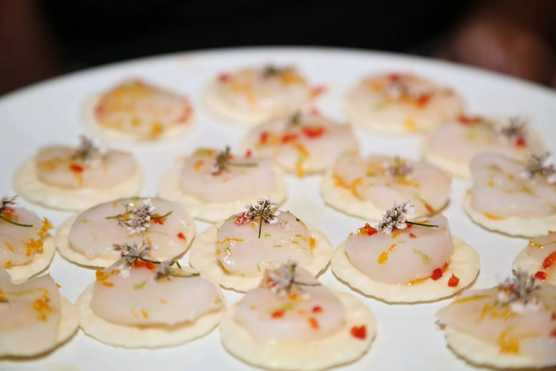 tiradito w/ cilantro flowers photo by Chloe Apple Seldman