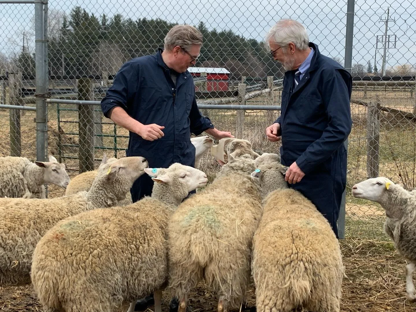 It would not be spring without a visit to @senecapoly King campus for our annual sheep shearing.  Such a great interdisciplinary learning experience. This year we where able to get together Fashion Arts Students, Fashion Studies Students, Fashion Bus