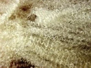 Wool Crimp