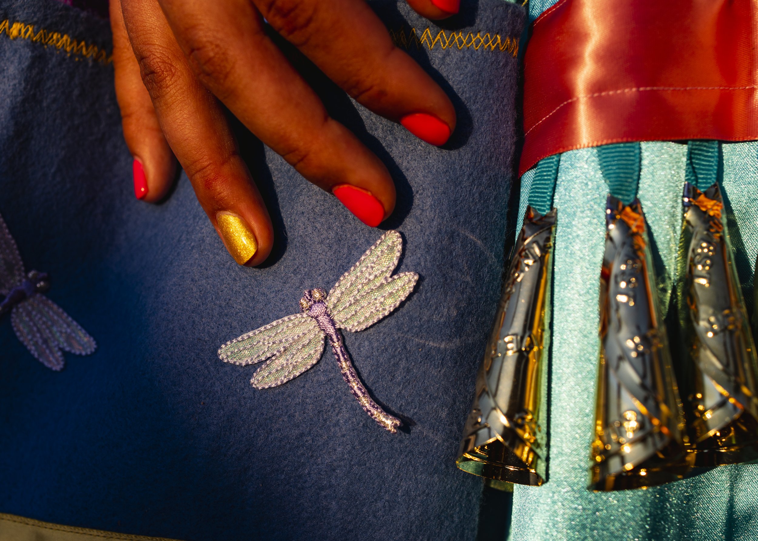   A dragonfly from Cecilia’s very first dance outfit is now sewn onto her purse.  