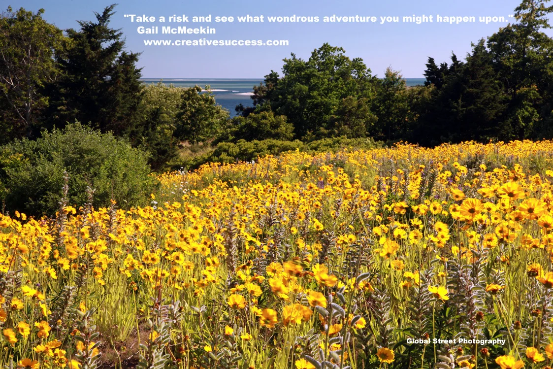 Field_of_Yellow_Flowers_1124.jpg