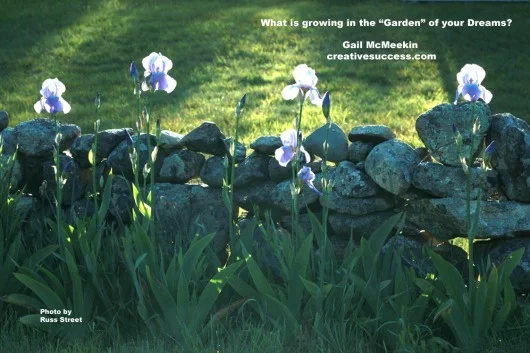 Iris__Iris_1664.jpg