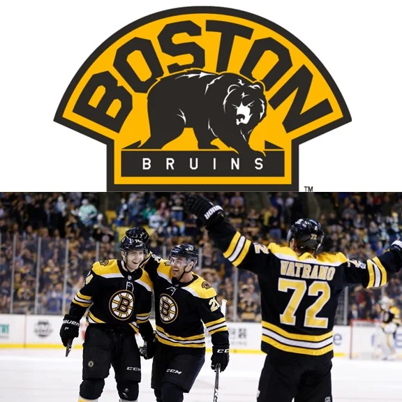 Bruins Tickets 4 Tickets to the Bruins vs. Ottawa Senators on Saturday, March 9th at 7PM. Tickets located in the loge section. Valued at $750