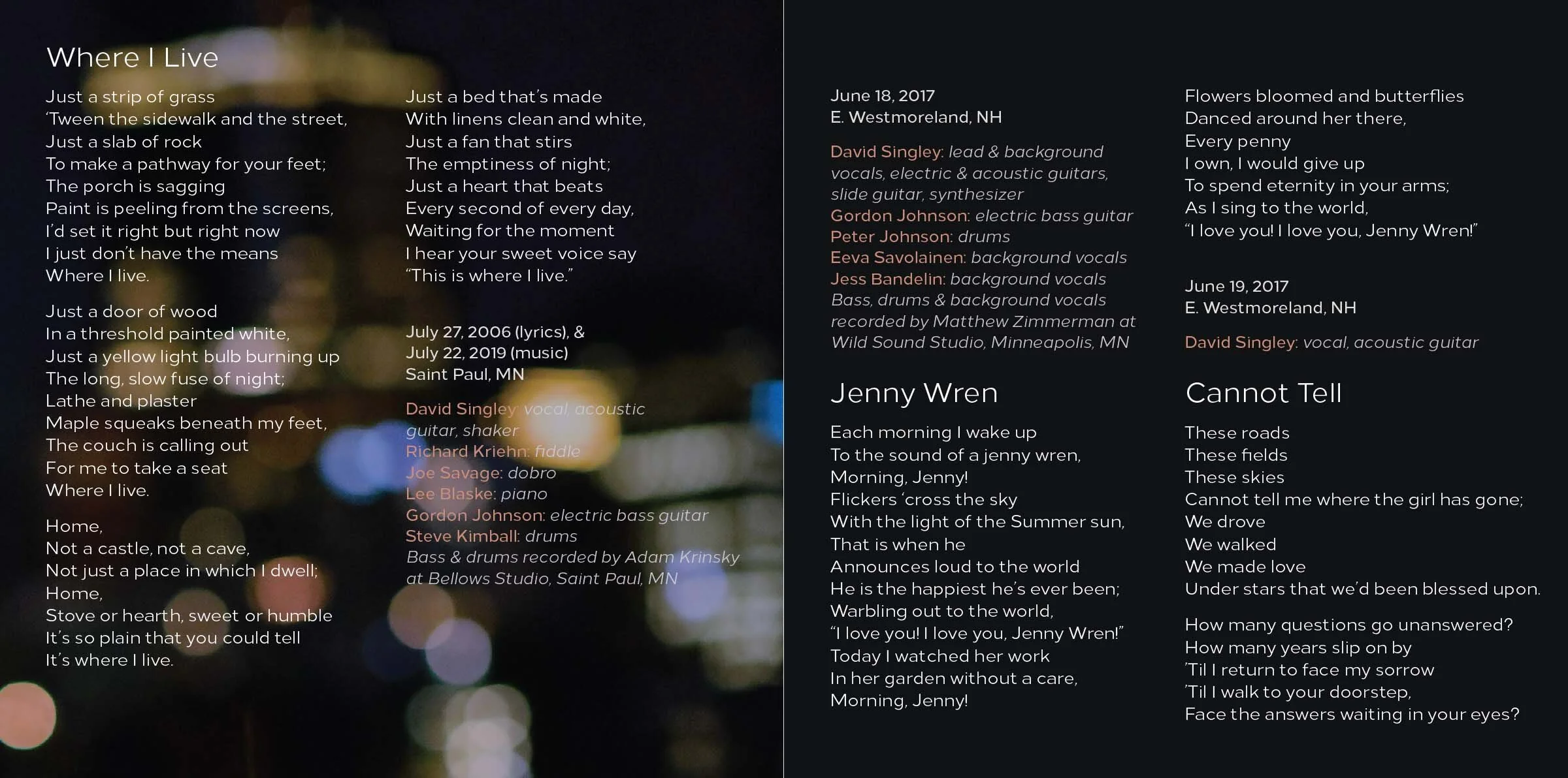 david-singley-the-long-slow-fuse-of-night-booklet-3.jpg