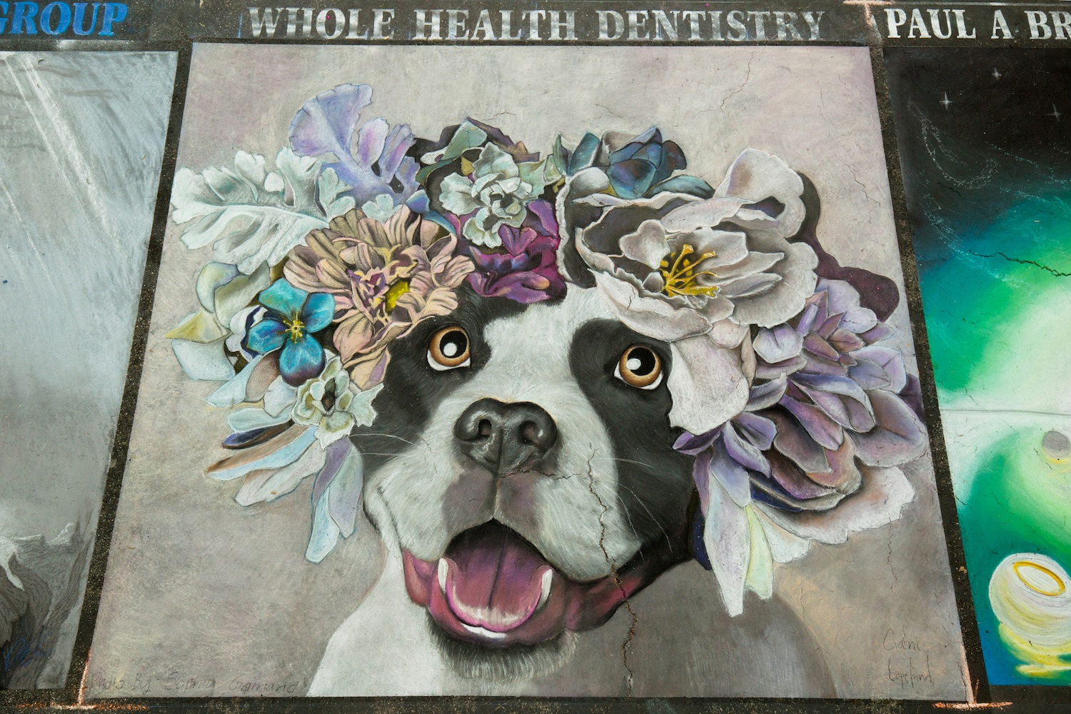 Amy-284-1731_Whole_Health_Dentistry.jpg