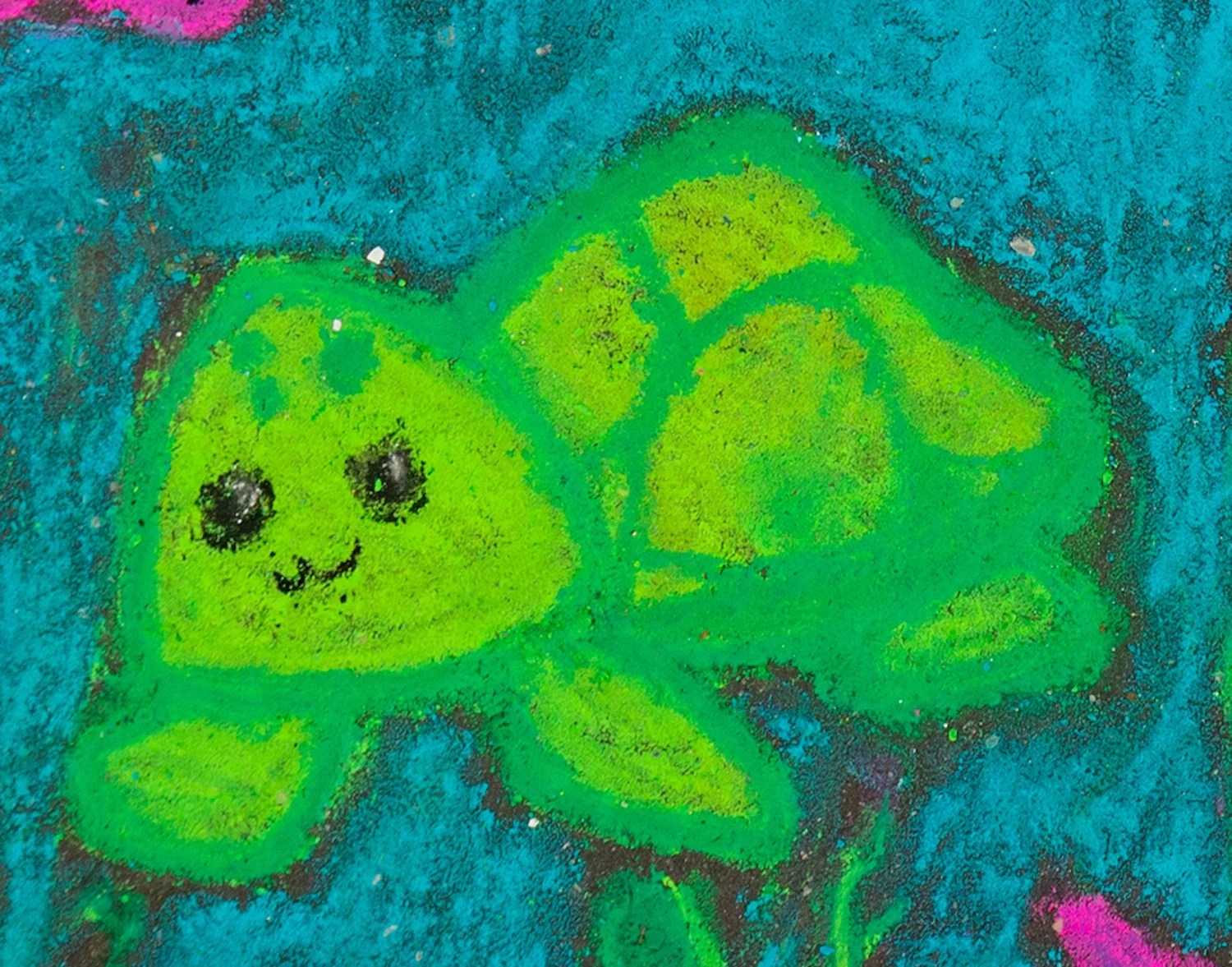 Amy-819-_69A9937_Sea_turtle.jpg