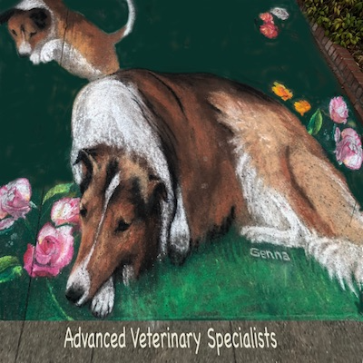  Advanced Veterinary Specialists Artist:  Genna Panzarella 