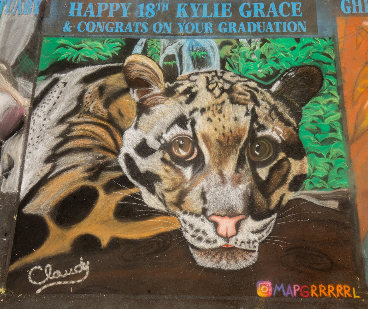  Happy 18th Birthday Kylie Grace &amp; Congrats on your Graduation  Artist:  Monika Petroczy 