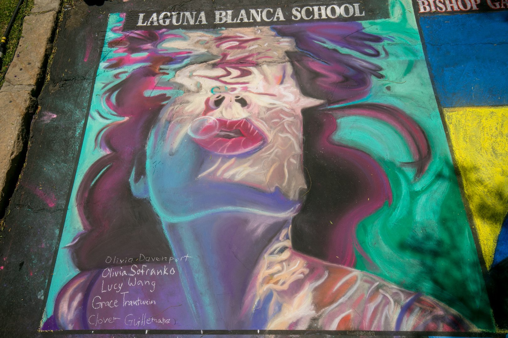  Laguna Blanca School  Artists:  LBC students 