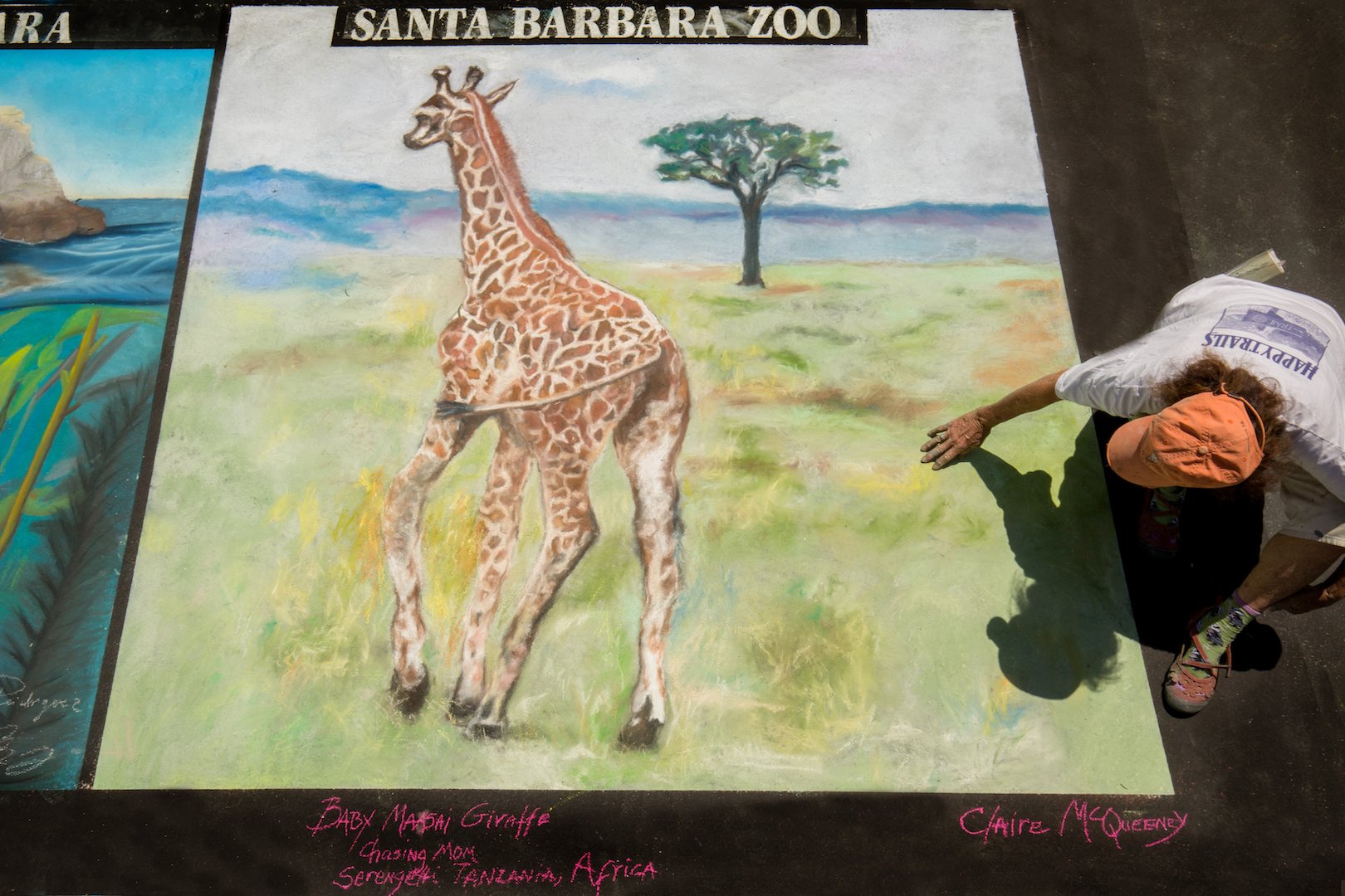  Santa Barbara Zoo  Artist:   Claire McQueeney 