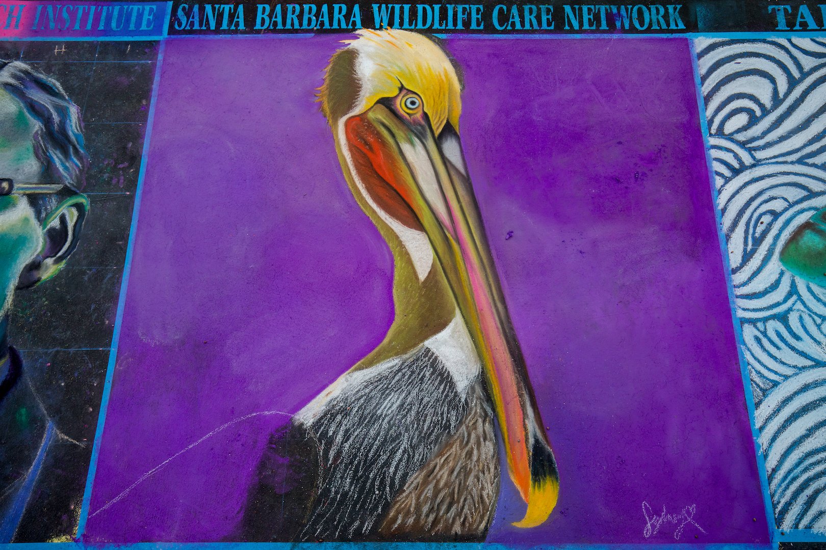  Santa Barbara Wildlife Care Network  Artist:  Local students - Sydney and Vivian 