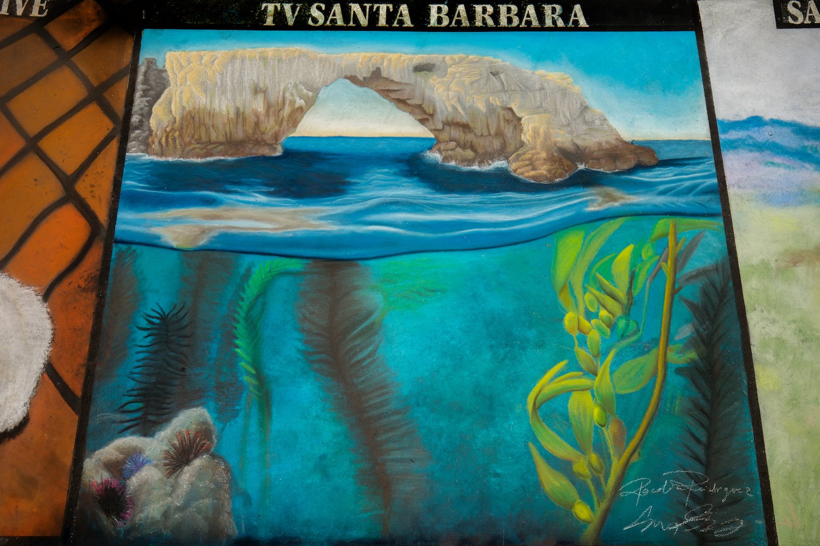  TV Santa Barbara  Artist:  Rochella Rodriguez 