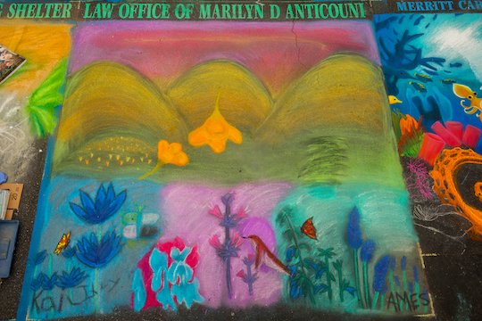 Law Office of Marilyn D. Anticouni