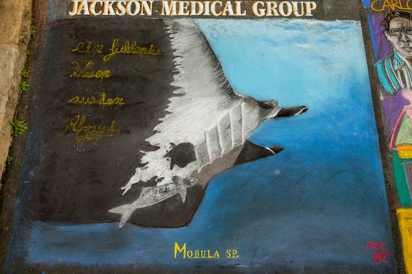 Jackson Medical Group