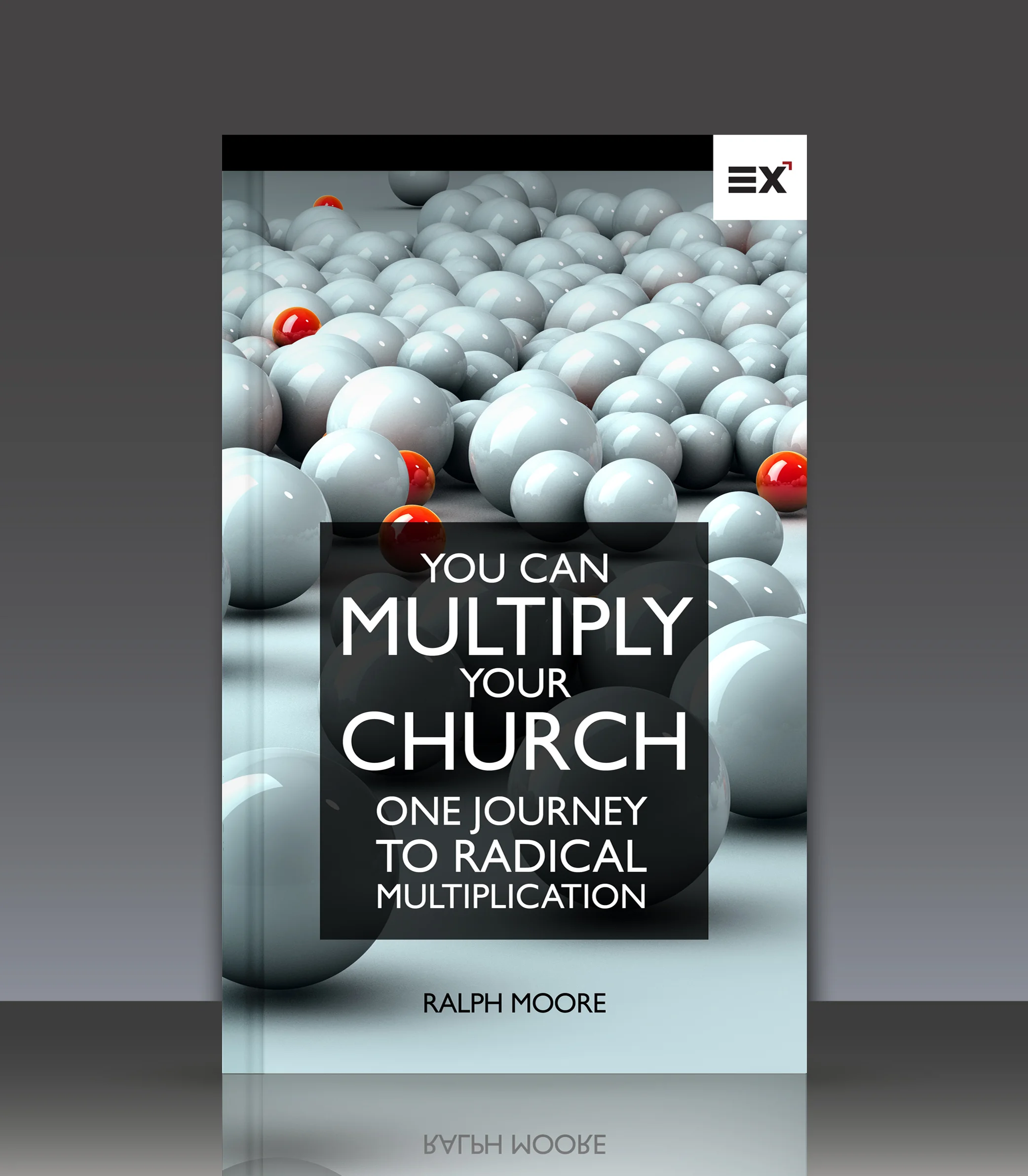 multiply ebook cover 311545022.jpg