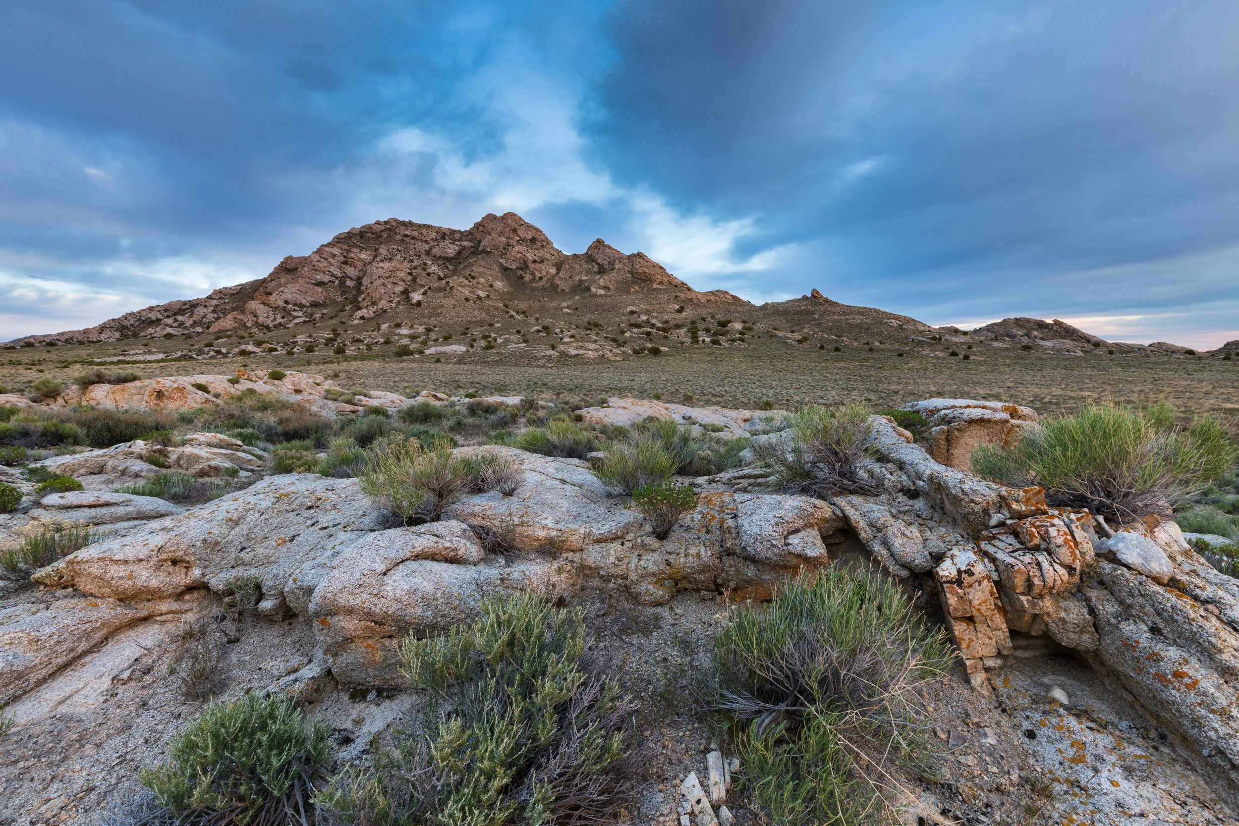 AdobeStock_110671648.jpeg