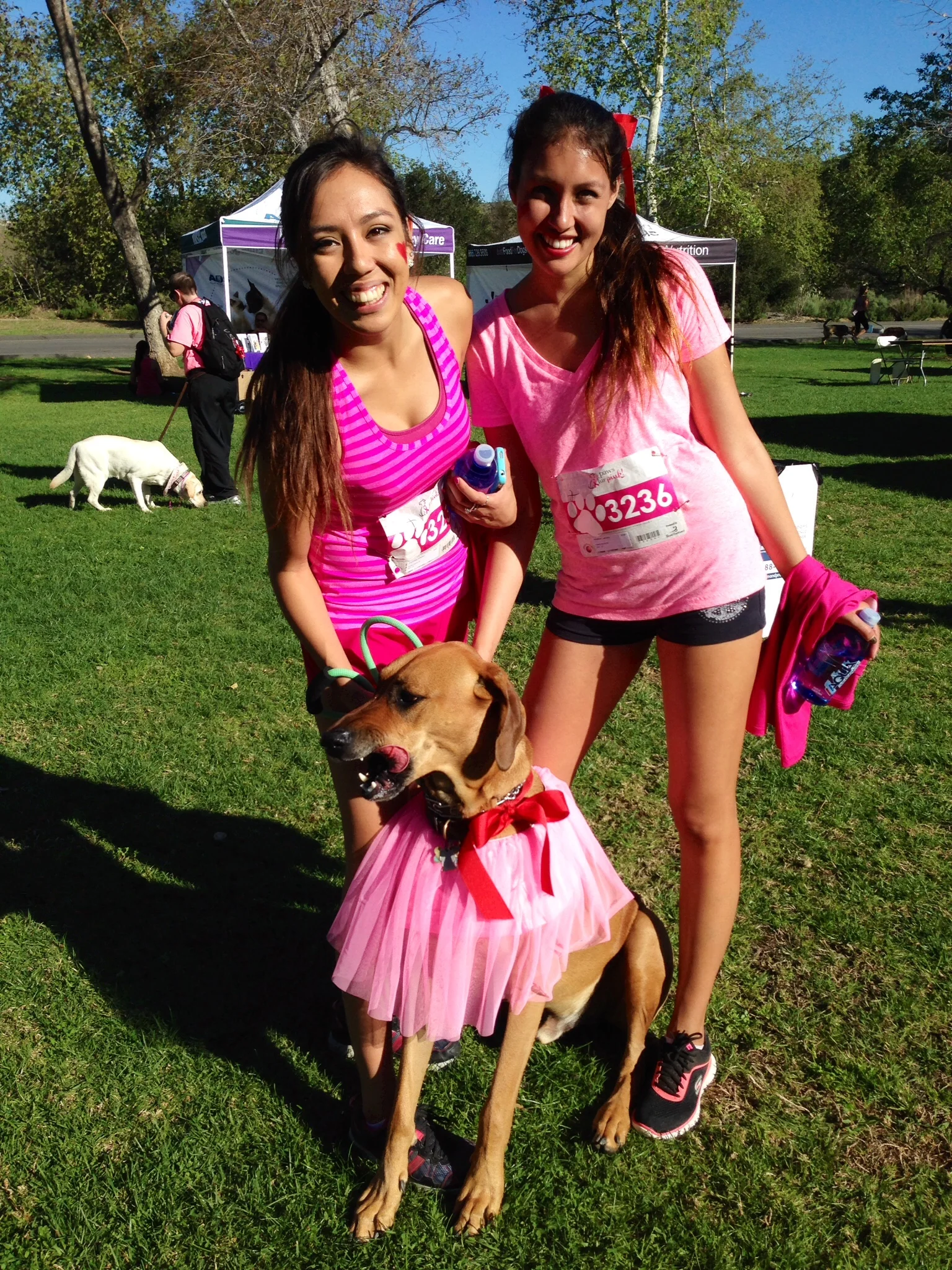 CuteGals_IMG_0035_PhotoStreams_PawsOC_2015.jpg