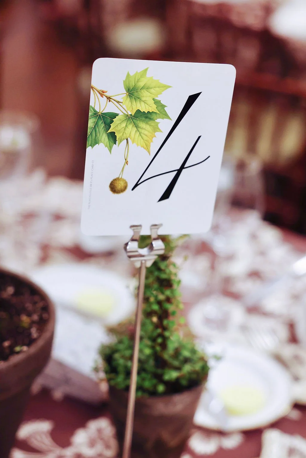 10_elizabethobakerphotography_DCLuncheon_MarthaStewart_NYC2026.jpeg