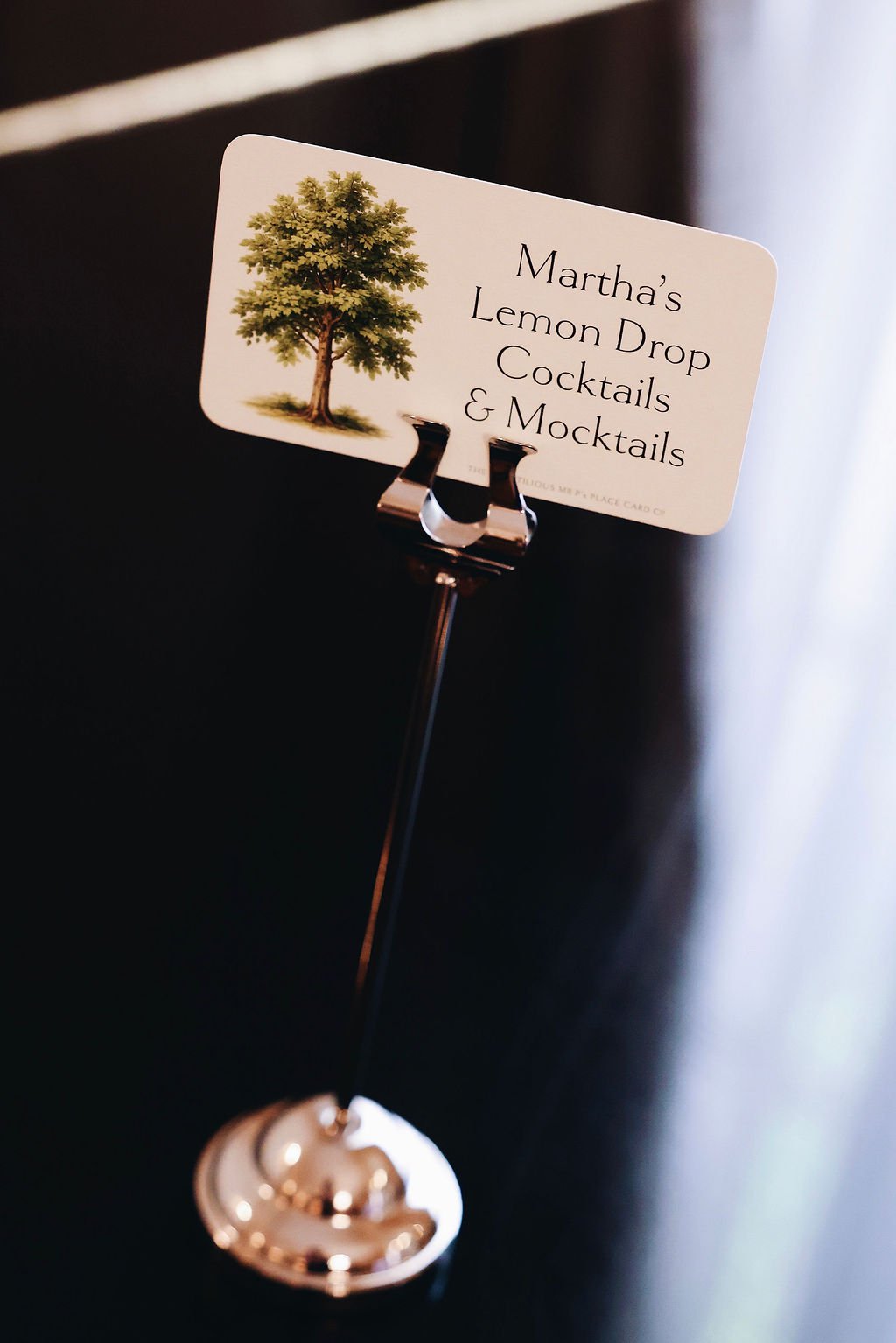 1_elizabethobakerphotography_DCLuncheon_MarthaStewart_NYC2026.jpeg