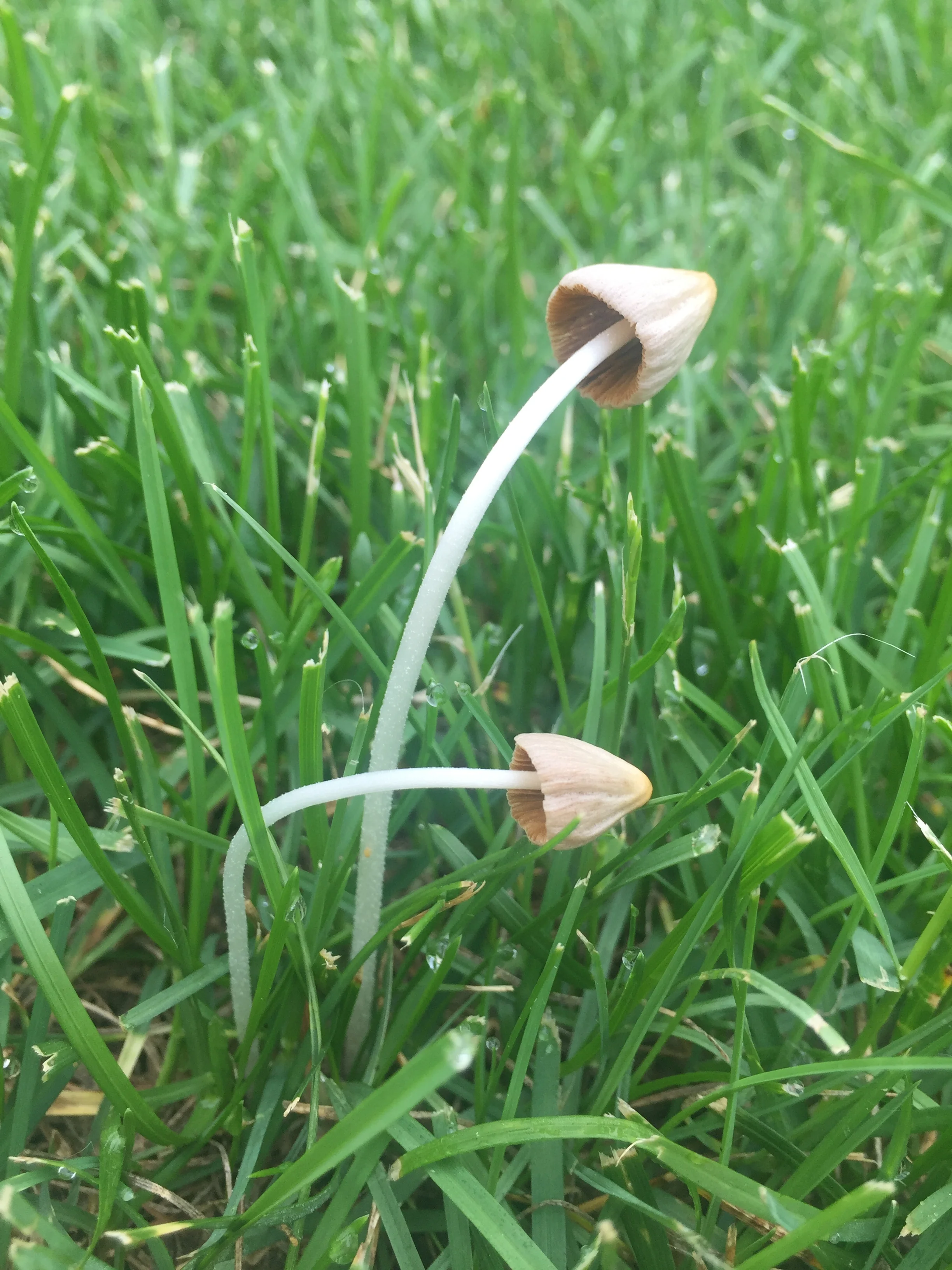 A Simple Ritual to Beat Anxiety and Stress