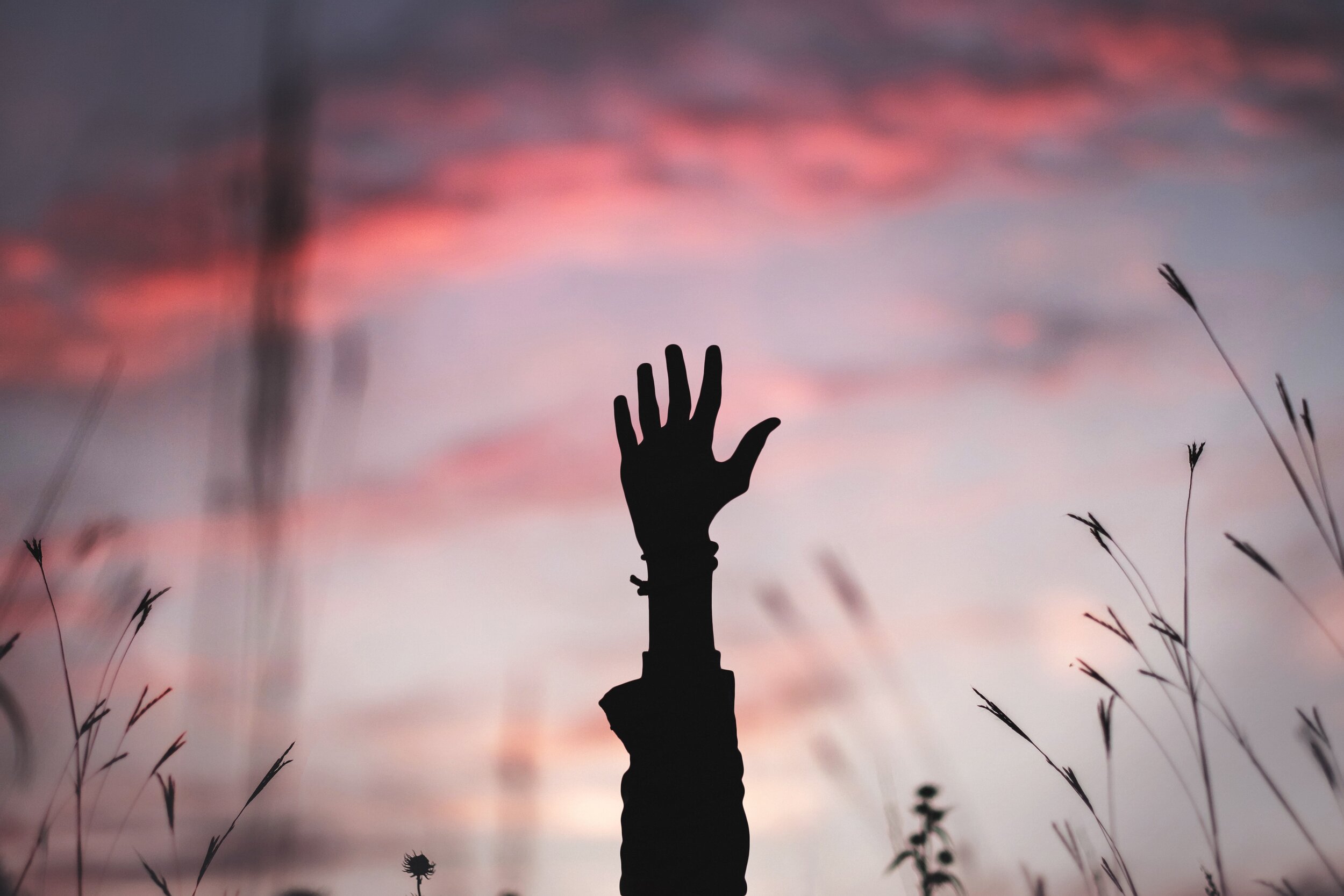 OHD: Obsessive Healing Disorder
